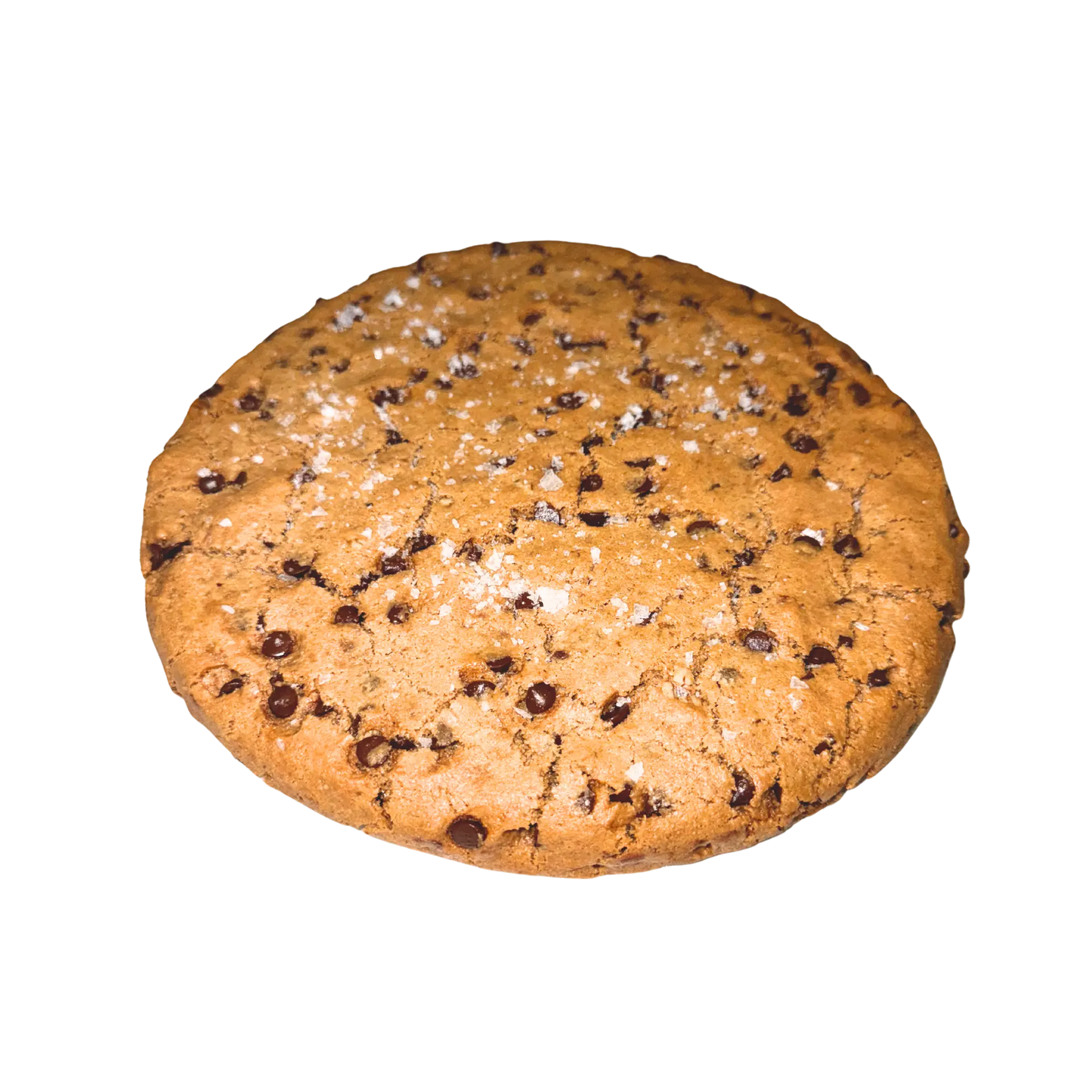 Fathers Day Special: Pecan Choc Chip Cookie Cake Nowhere Bakery