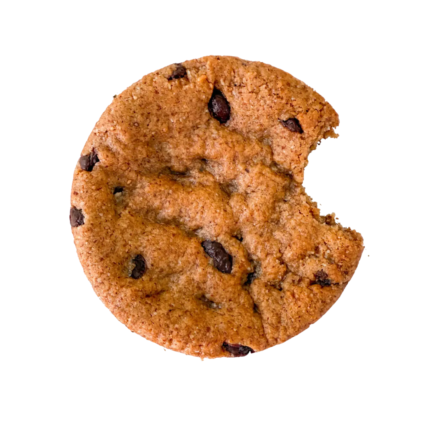 Seasonal Pumpkin Pack Nowhere Bakery