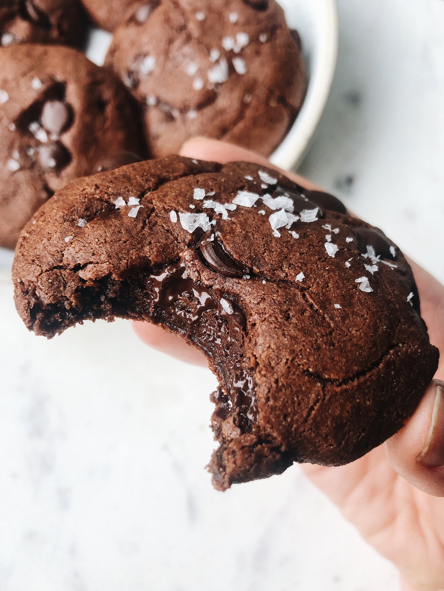 Nowhere Bakery Double Chocolate Chip Cookies