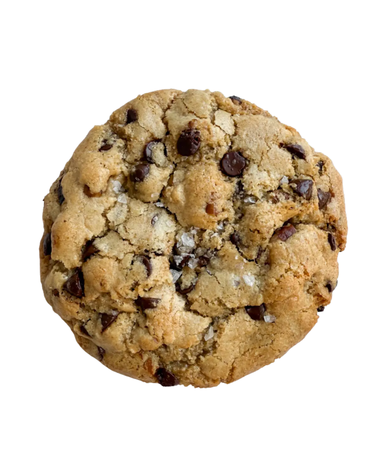 Pecan Choc Chip Cookie Nowhere Bakery