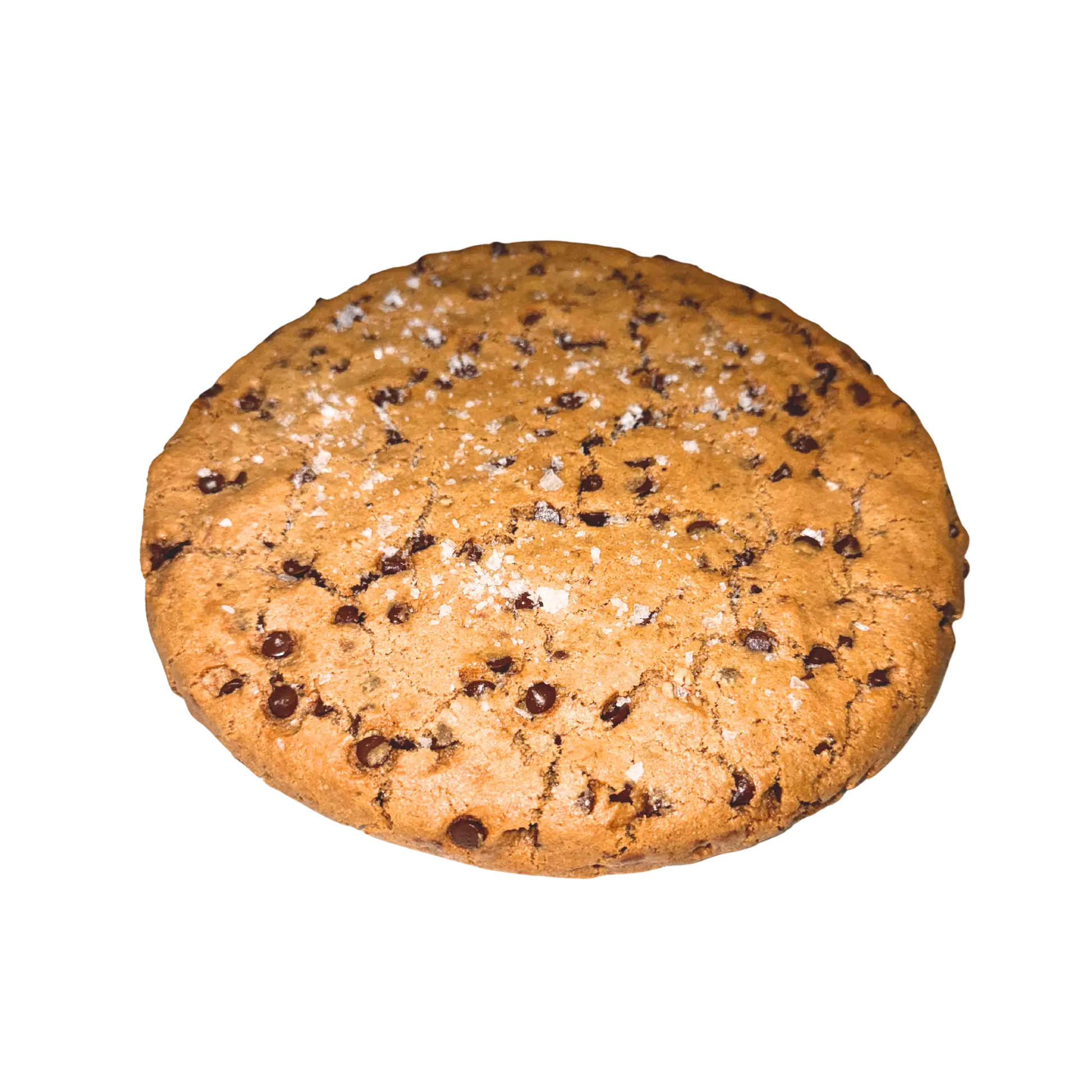 Fathers Day Special: Pecan Choc Chip Cookie Cake Nowhere Bakery
