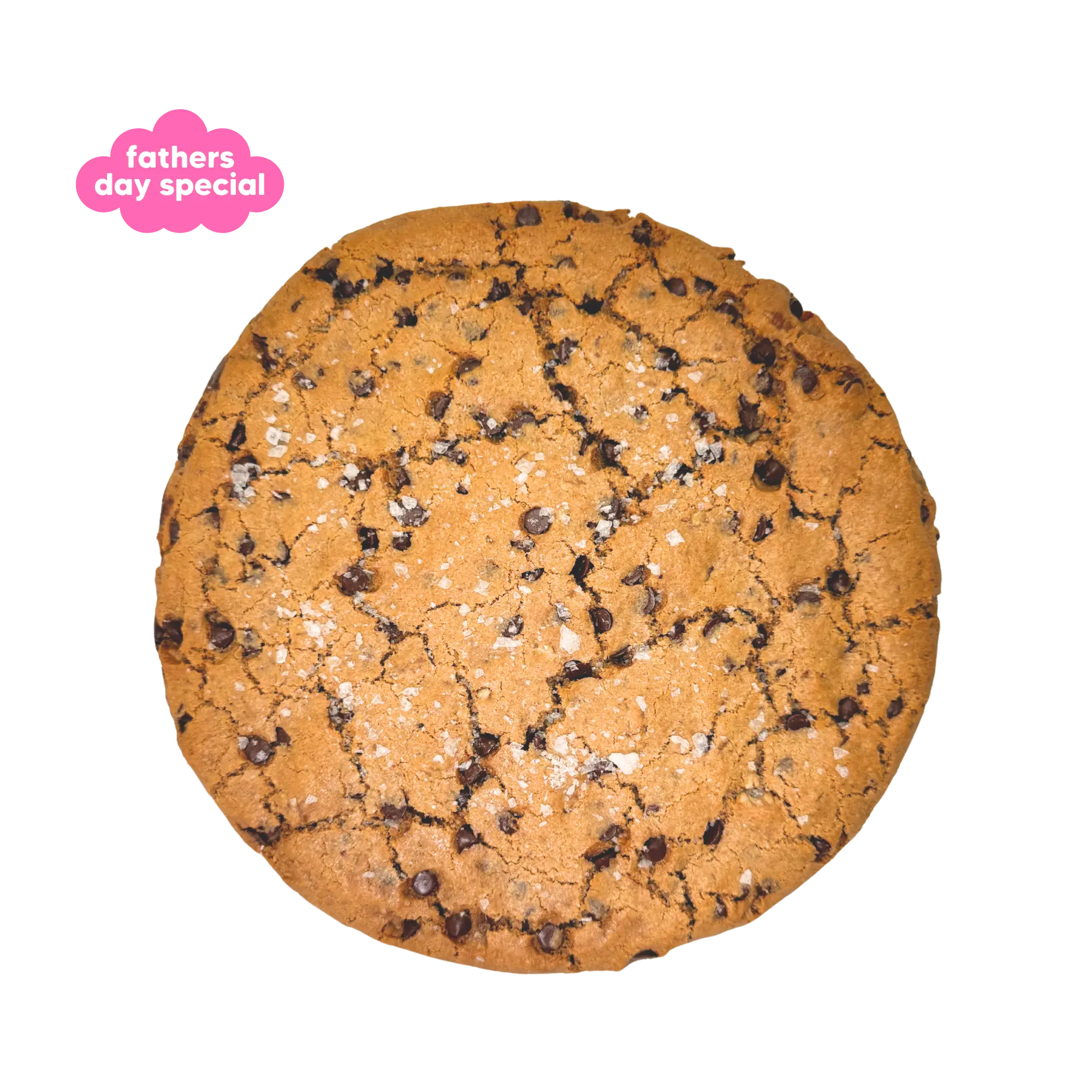 Fathers Day Special: Pecan Choc Chip Cookie Cake Nowhere Bakery