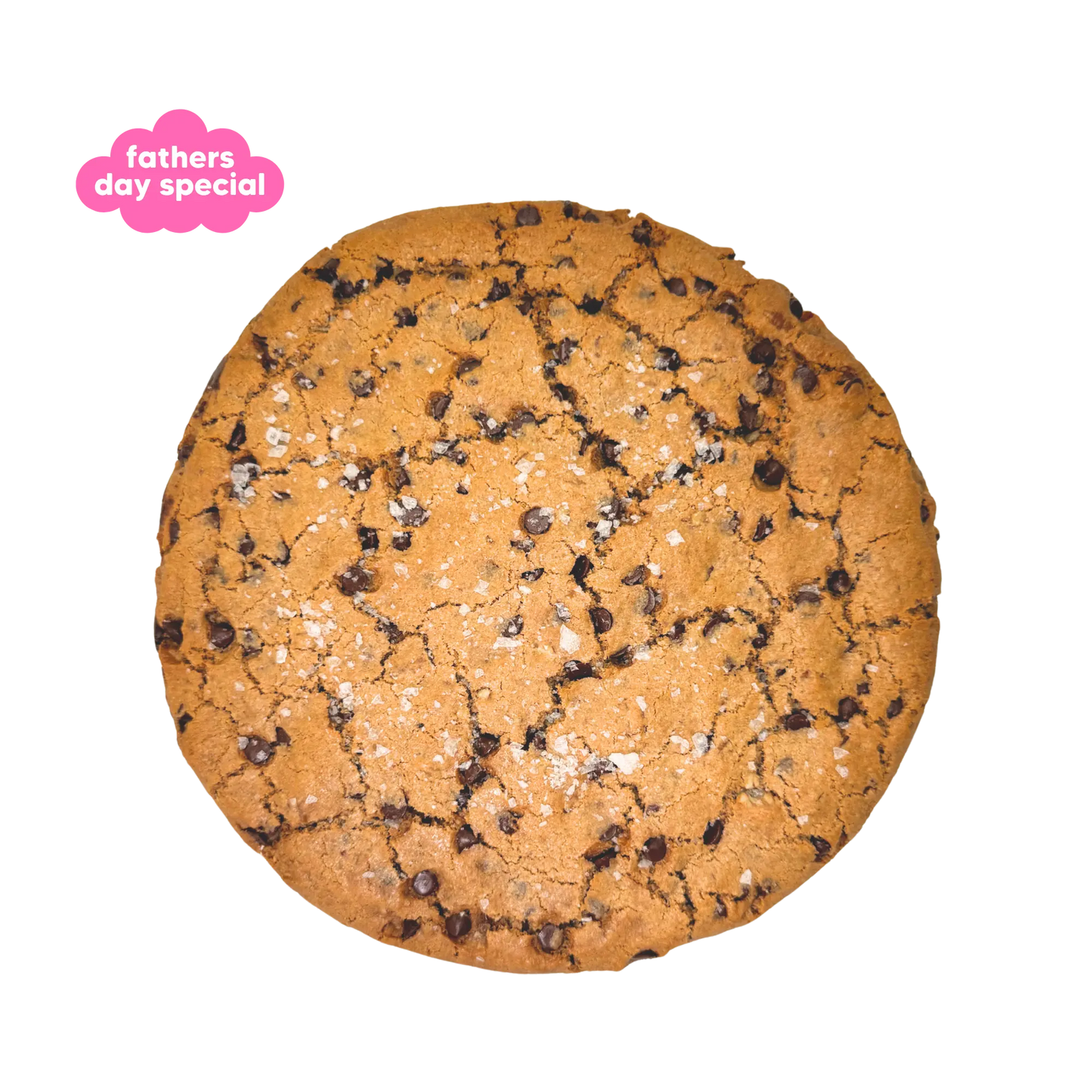 Fathers Day Special: Pecan Choc Chip Cookie Cake Nowhere Bakery