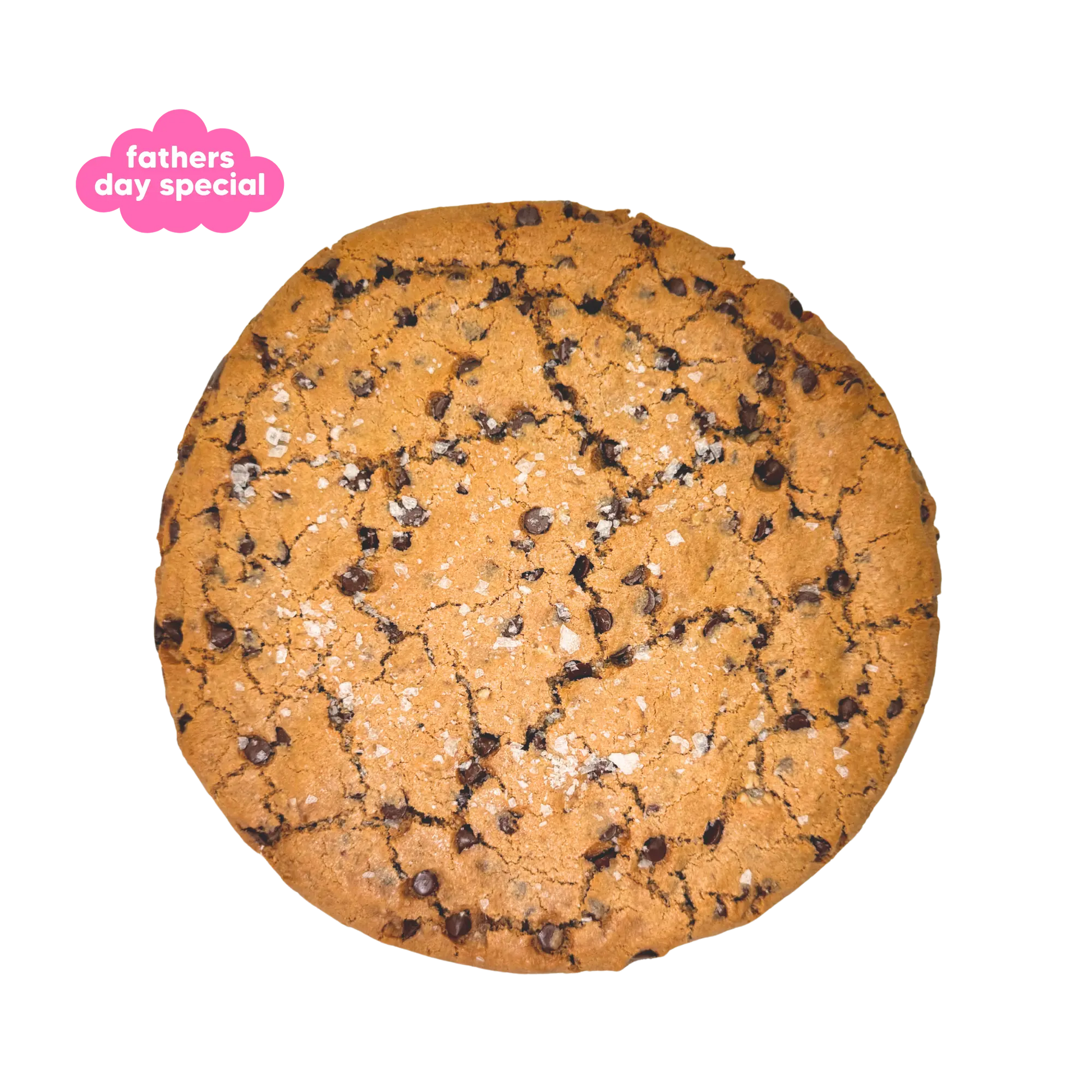 Fathers Day Special: Pecan Choc Chip Cookie Cake Nowhere Bakery