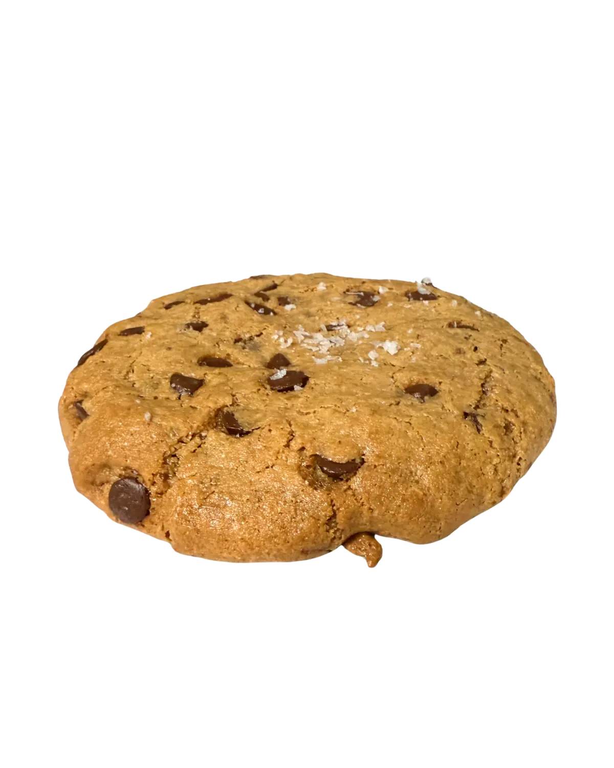 Oopsy Pecan Choc Chip Nowhere Bakery