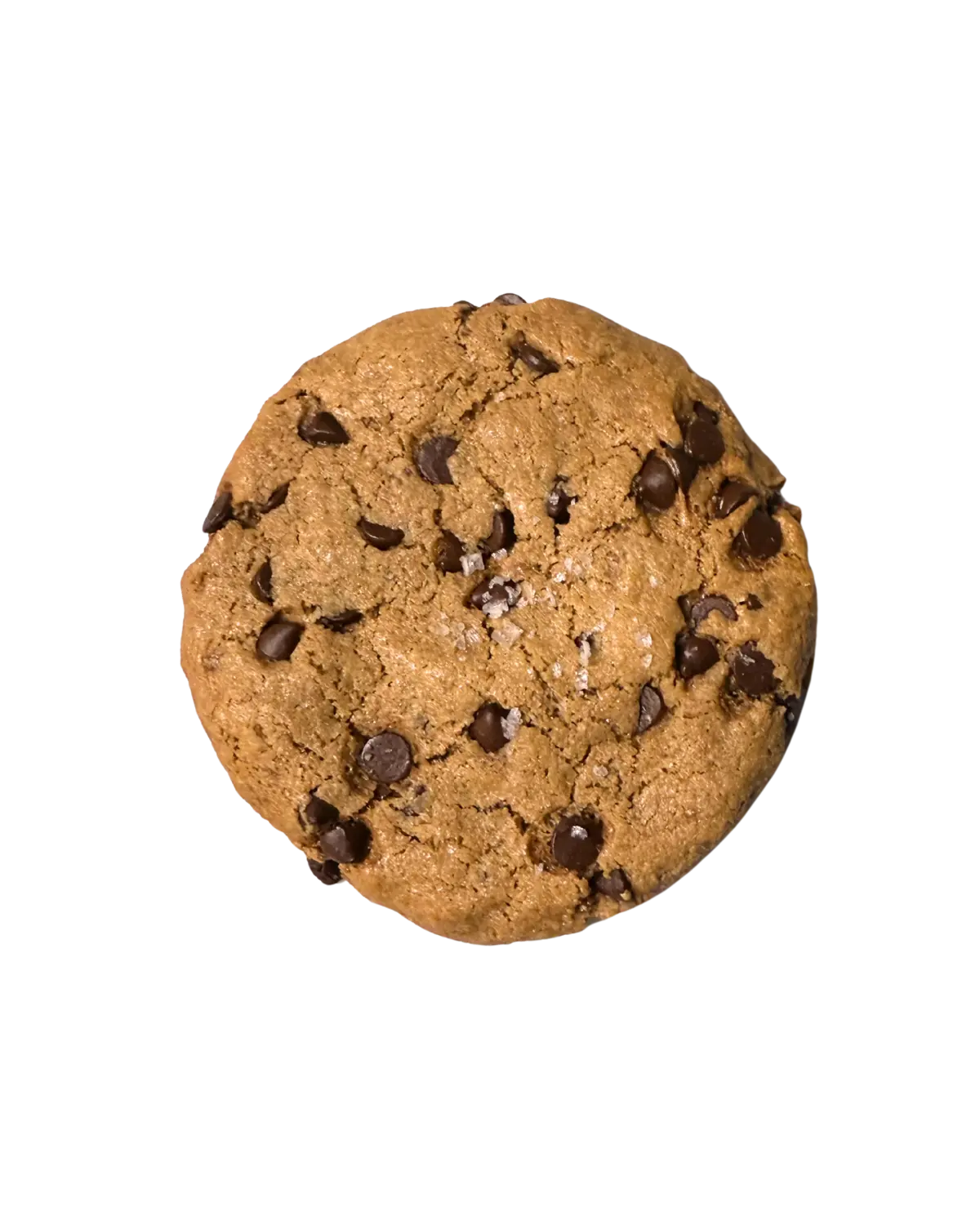 Oopsy Pecan Choc Chip Nowhere Bakery