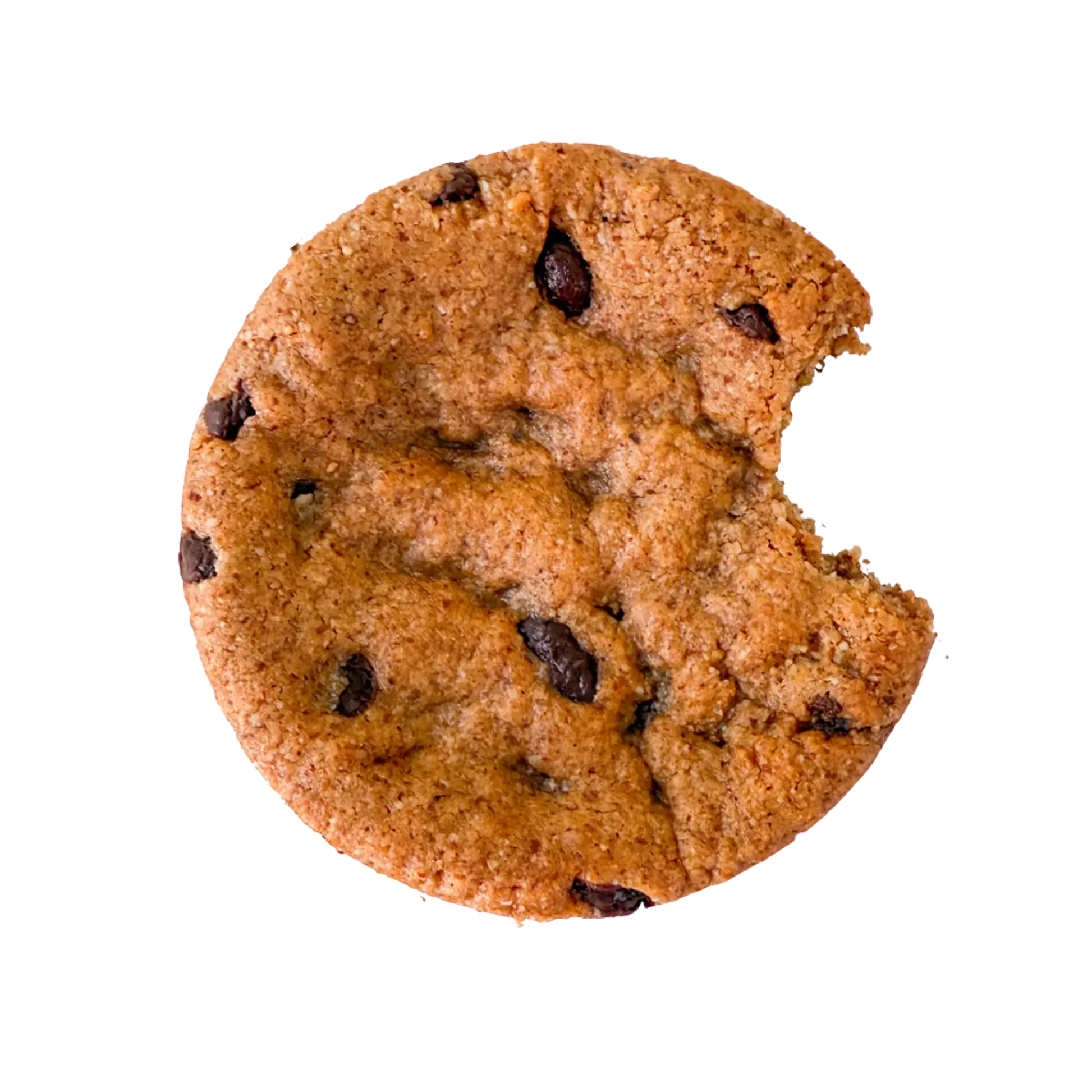 Seasonal Pumpkin Pack Nowhere Bakery