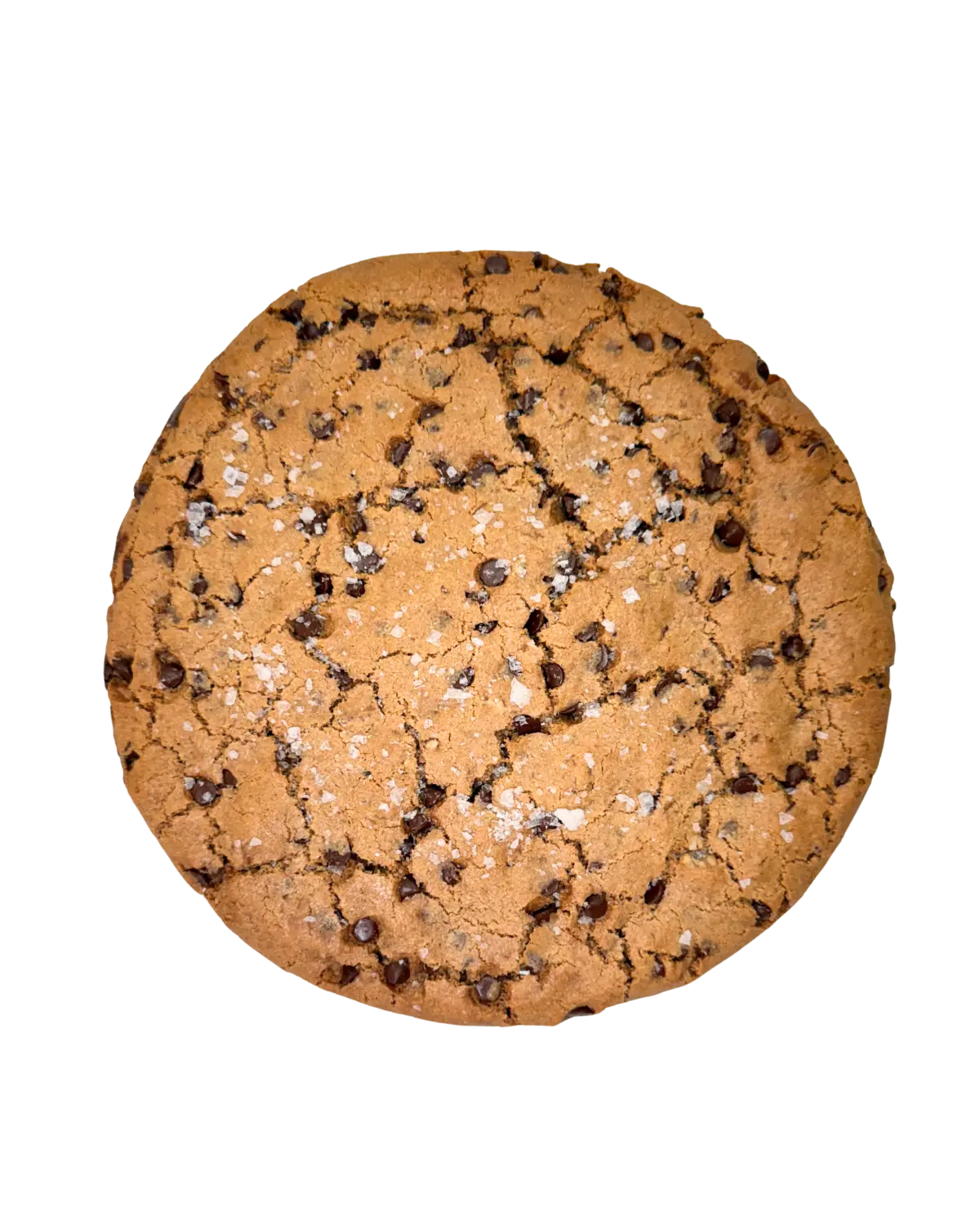 Cookie Cake - Pecan Choc Chip Nowhere Bakery