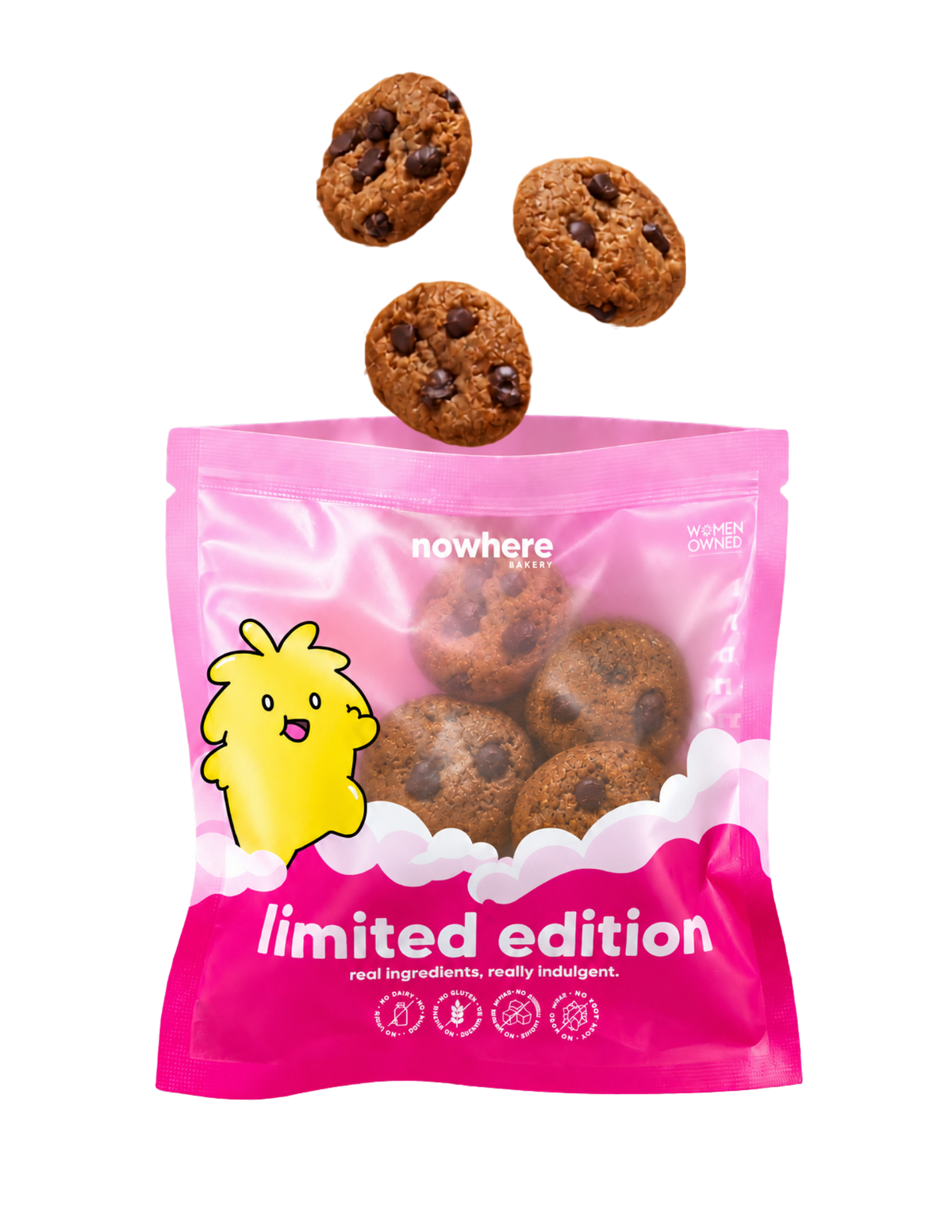 Pumpkin Spice Choc Chip Snackies
